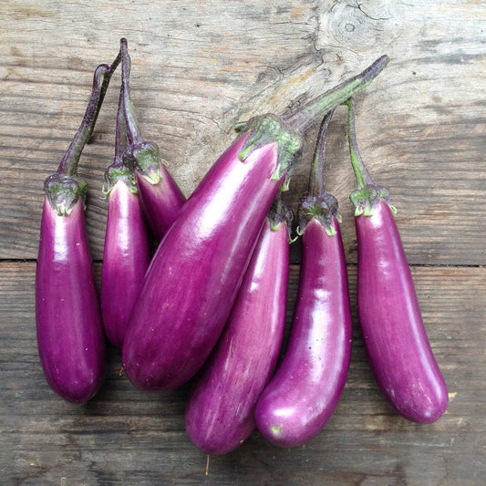 Piccolo Seeds - Eggplant Slim Jim