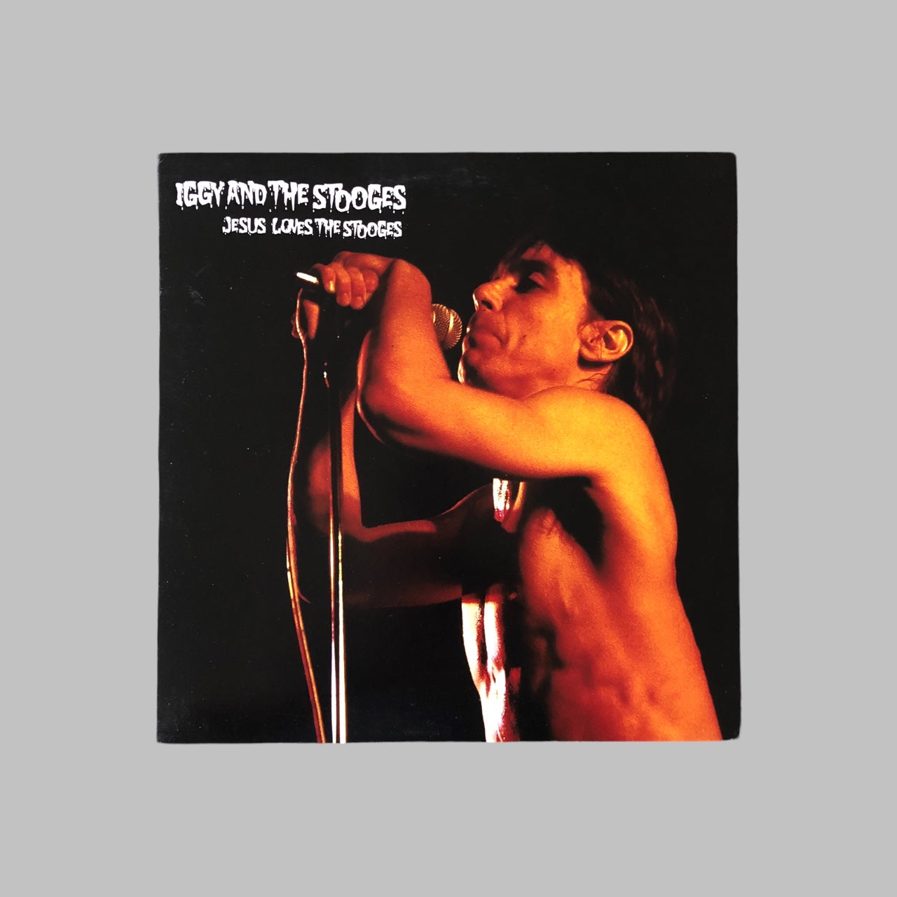 LP Vinyl - Iggy and the Stooges  - Jesus Loves the Stooges