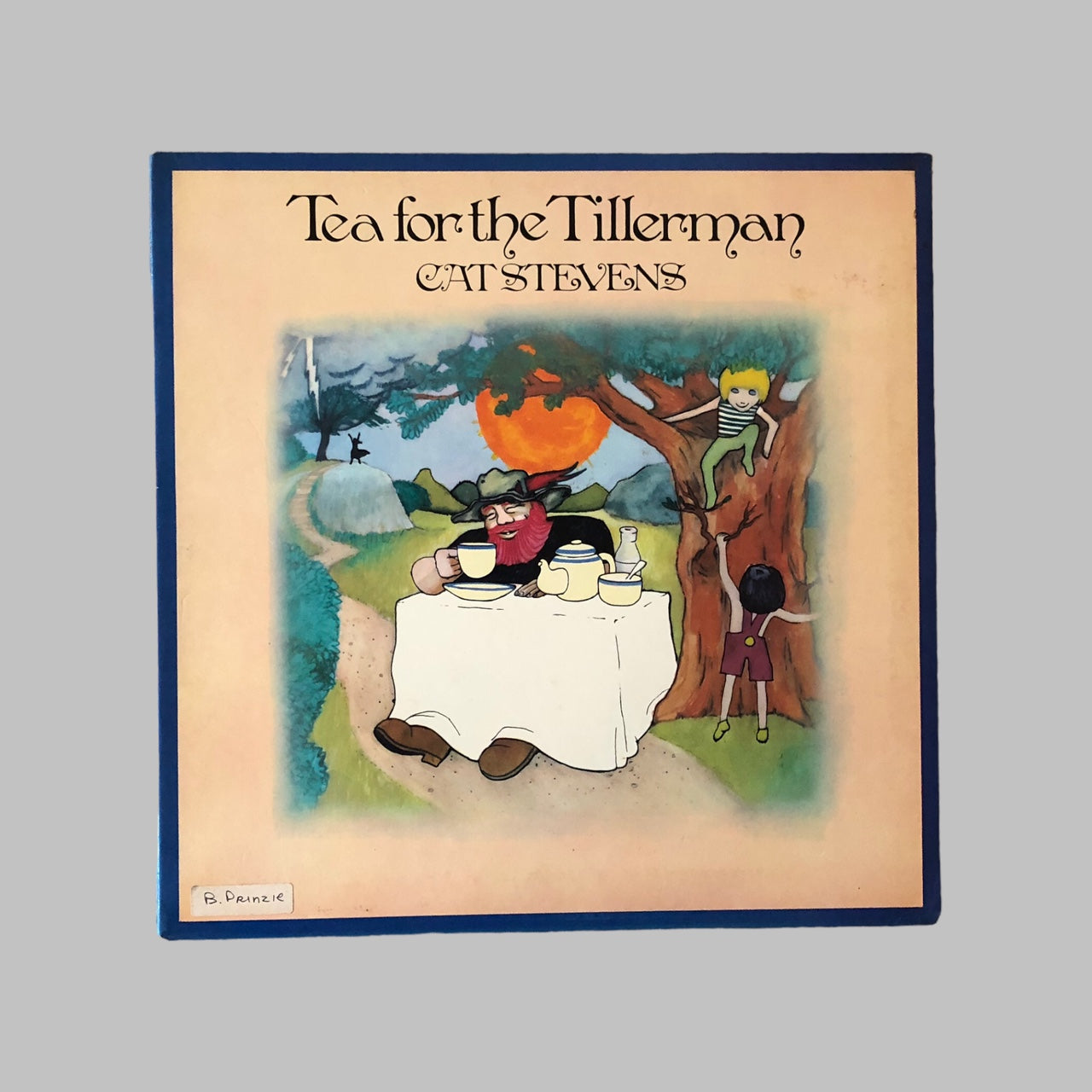 LP Vinyl - Cat Stevens - Tea For The Tillerman.